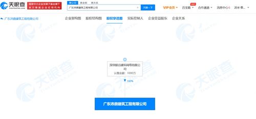 信息技術咨詢服務 驅動企業數字化轉型的核心引擎